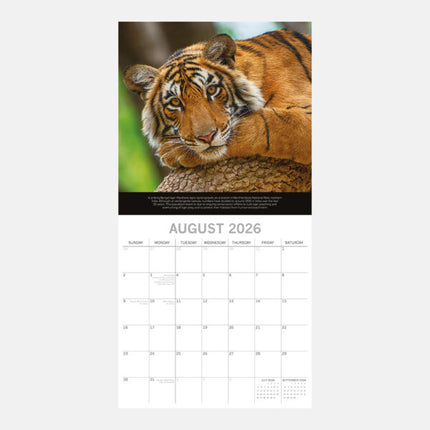 The Gifted Stationary Save the Planet Kalender 2026