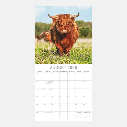 The Gifted Stationary Schotse Hooglanders Kalender 2026