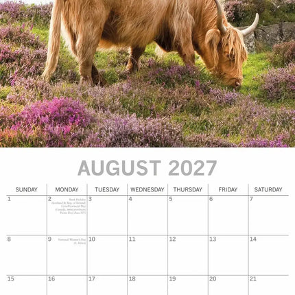 The Gifted Stationary Schotse Hooglanders Kalender 2027
