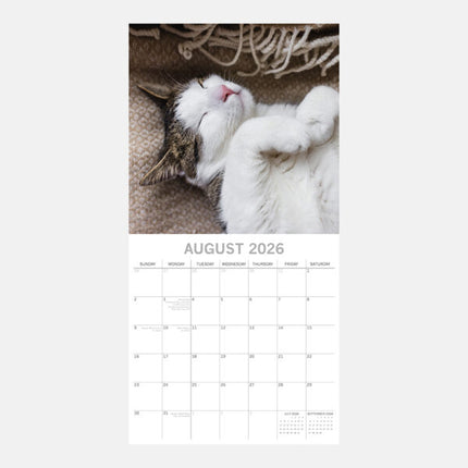 The Gifted Stationary Slapende Katten Kalender 2026