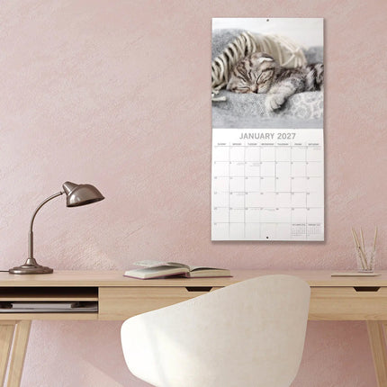 The Gifted Stationary Slapende Katten Kalender 2027