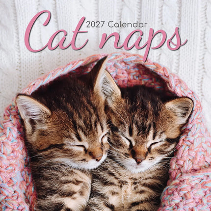The Gifted Stationary Slapende Katten Kalender 2027