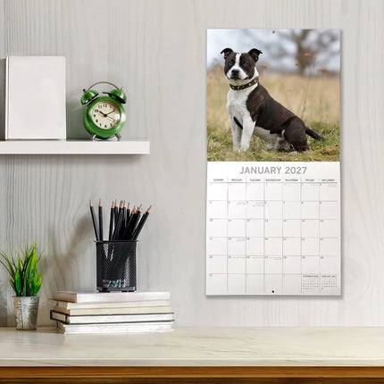 The Gifted Stationary Staffordshire Bull Terrier Kalender 2027