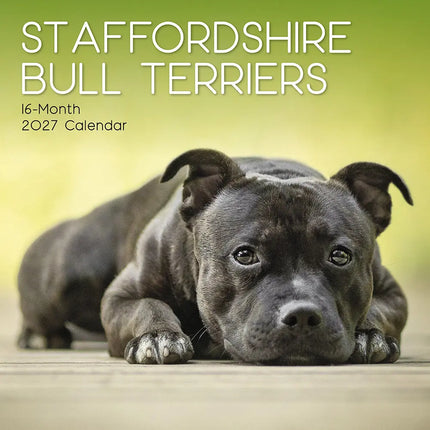 The Gifted Stationary Staffordshire Bull Terrier Kalender 2027