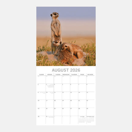The Gifted Stationary Stokstaartjes Kalender 2026