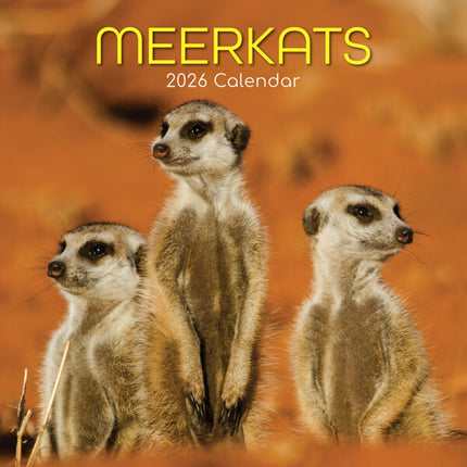 The Gifted Stationary Stokstaartjes Kalender 2026