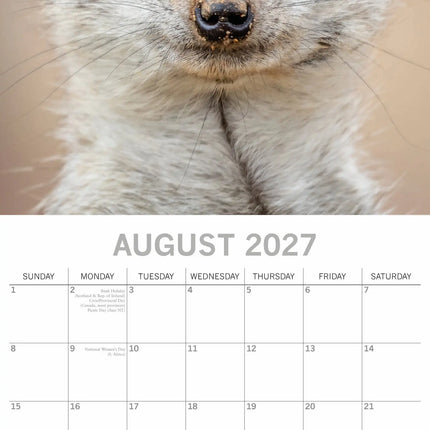 The Gifted Stationary Stokstaartjes Kalender 2027