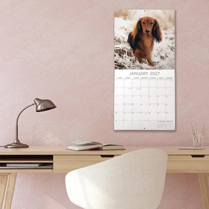 The Gifted Stationary Teckel Kalender 2027