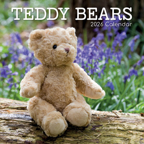 The Gifted Stationary Teddyberen Kalender 2026