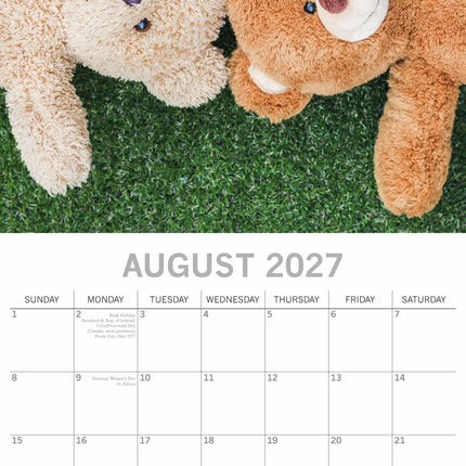 The Gifted Stationary Teddyberen Kalender 2027