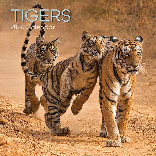 The Gifted Stationary Tijger Kalender 2026