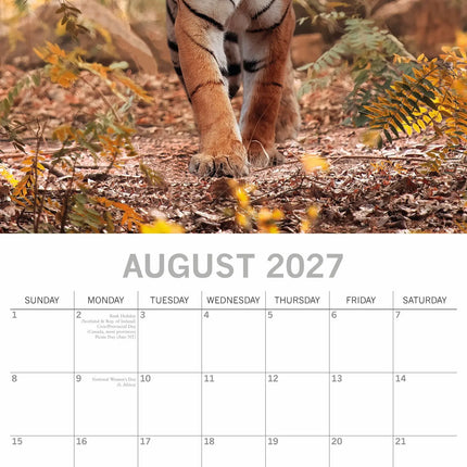 The Gifted Stationary Tijger Kalender 2027