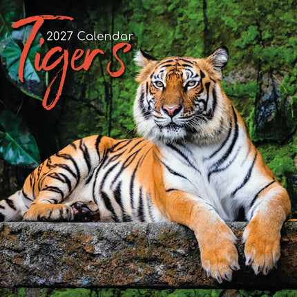 The Gifted Stationary Tijger Kalender 2027