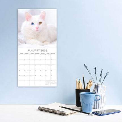 The Gifted Stationary Top Cats Kalender 2026
