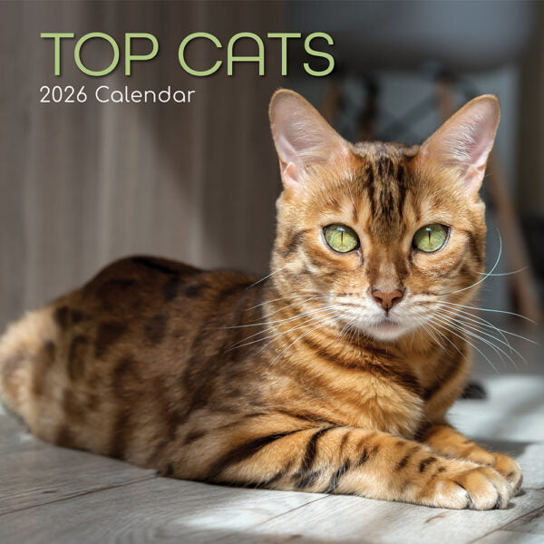 The Gifted Stationary Top Cats Kalender 2026