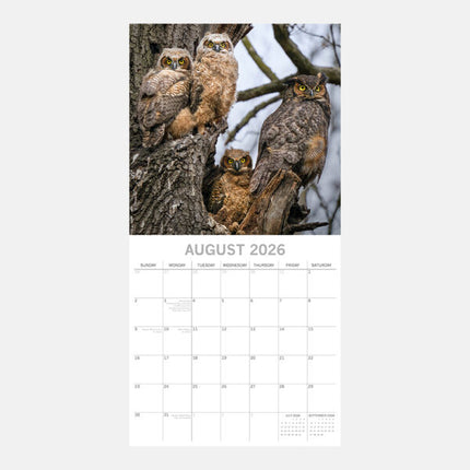 The Gifted Stationary Uilen Kalender 2026