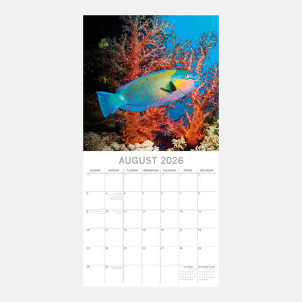 The Gifted Stationary Under the Sea Kalender 2026