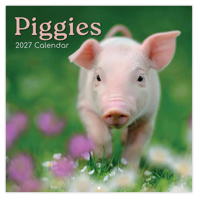 The Gifted Stationary Varken Kalender 2027