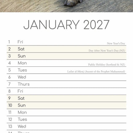 The Gifted Stationary Varkens Kalender Slimline 2027