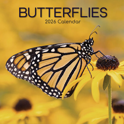 The Gifted Stationary Vlinder Kalender 2026