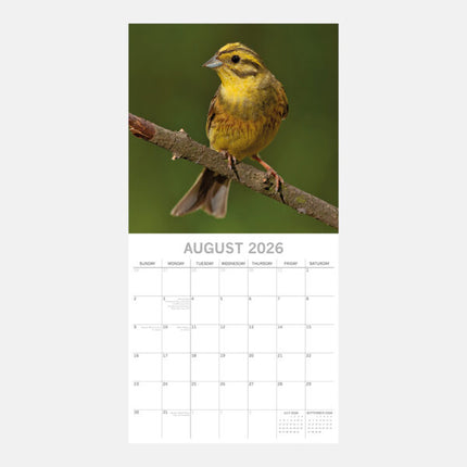 The Gifted Stationary Vogel Kalender 2026