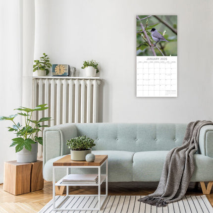The Gifted Stationary Vogel Kalender 2026
