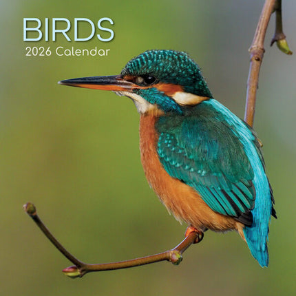 The Gifted Stationary Vogel Kalender 2026
