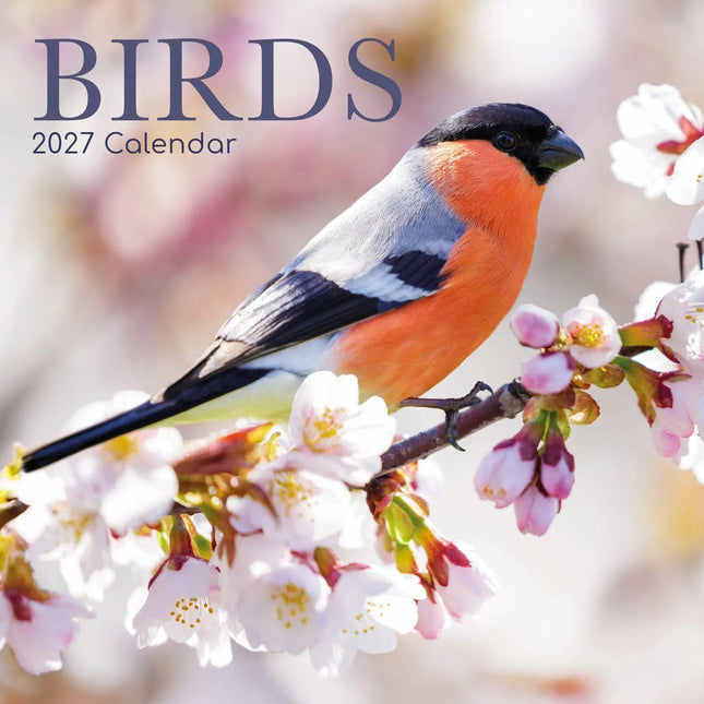 The Gifted Stationary Vogel Kalender 2027
