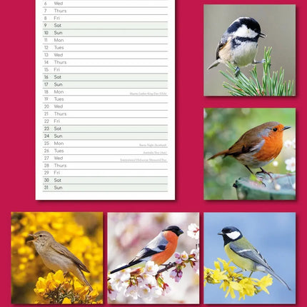 The Gifted Stationary Vogels Slimline Kalender 2027