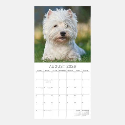 The Gifted Stationary West Highland White Terrier Kalender 2026