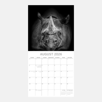 The Gifted Stationary Wild Portraits Kalender 2027