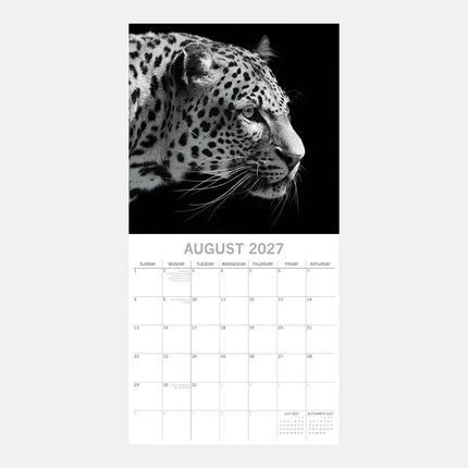 The Gifted Stationary Wild Portretten Kalender 2027