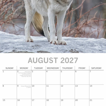 The Gifted Stationary Wolven Kalender 2027