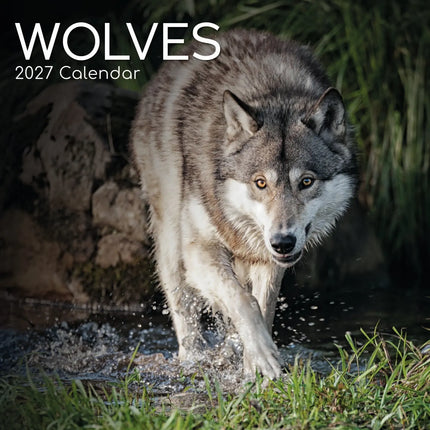 The Gifted Stationary Wolven Kalender 2027