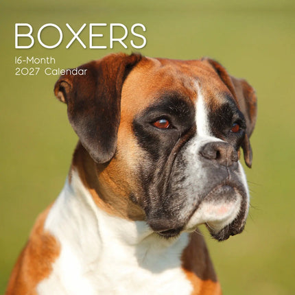 The Gifted Stationery Co. Boxer Kalender 2027