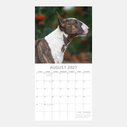The Gifted Stationery Co. Bull Terrier Kalender 2027