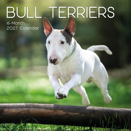 The Gifted Stationery Co. Bull Terrier Kalender 2027