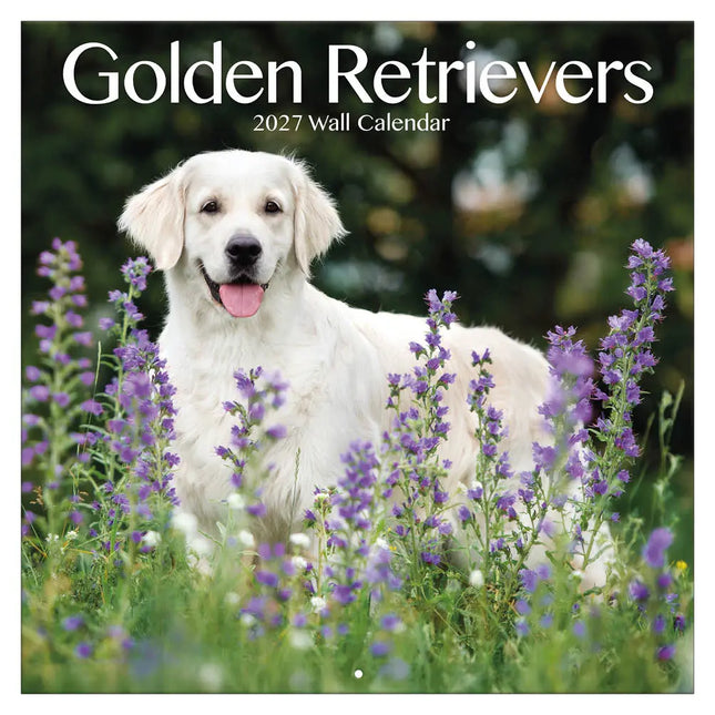 TL Turner Golden Retriever Kalender 2027