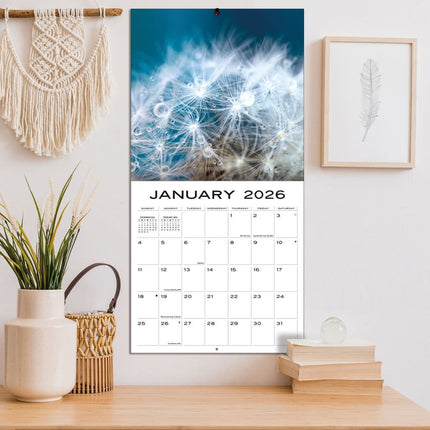 TL Turner Larger Than Life Kalender 2026
