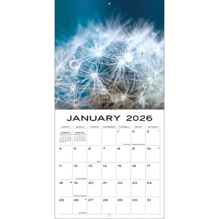 TL Turner Larger Than Life Kalender 2026