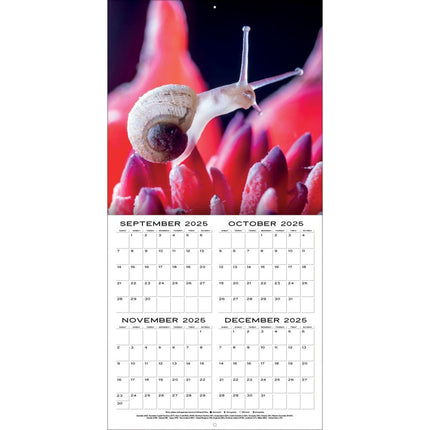 TL Turner Larger Than Life Kalender 2026