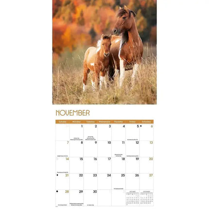 TL Turner Paarden Kalender 2027