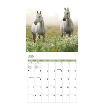 TL Turner Paarden Kalender 2027