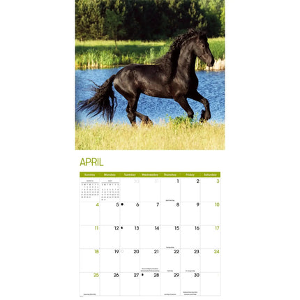 TL Turner Paarden Kalender 2027