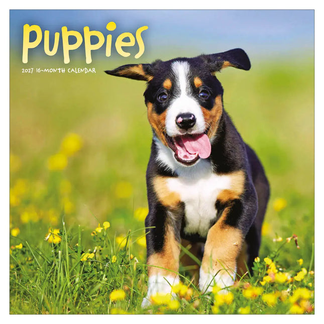 TL Turner Puppies Kalender 2027