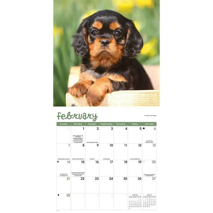 TL Turner Puppies Kalender 2027