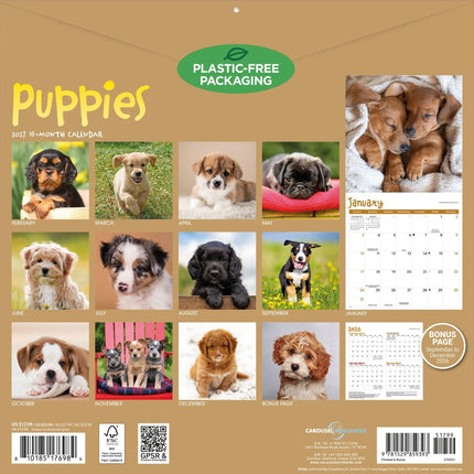 TL Turner Puppies Kalender 2027