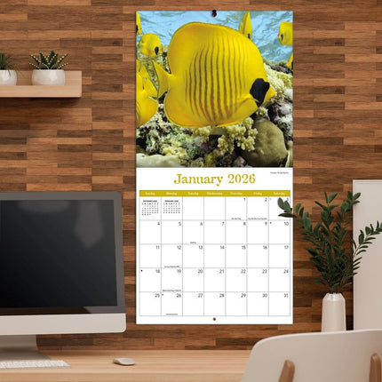 TL Turner Sea Creatures Kalender 2026