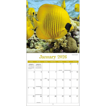 TL Turner Sea Creatures Kalender 2026