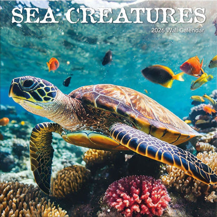 TL Turner Sea Creatures Kalender 2026